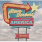 FORBERT,STEVE - MOVING THROUGH AMERICA (BLUE) Vinyl LP