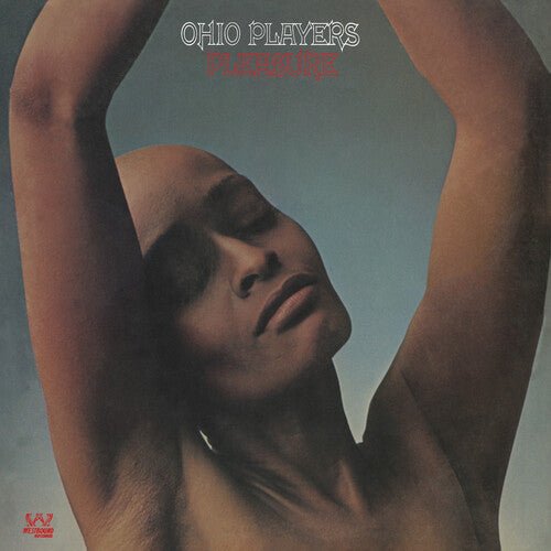PLEASURE - SILVER