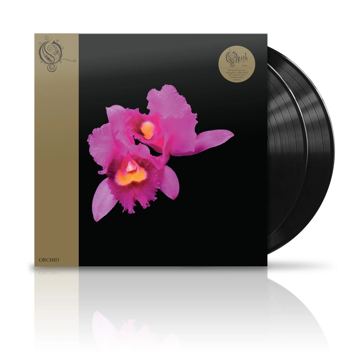 ORCHID