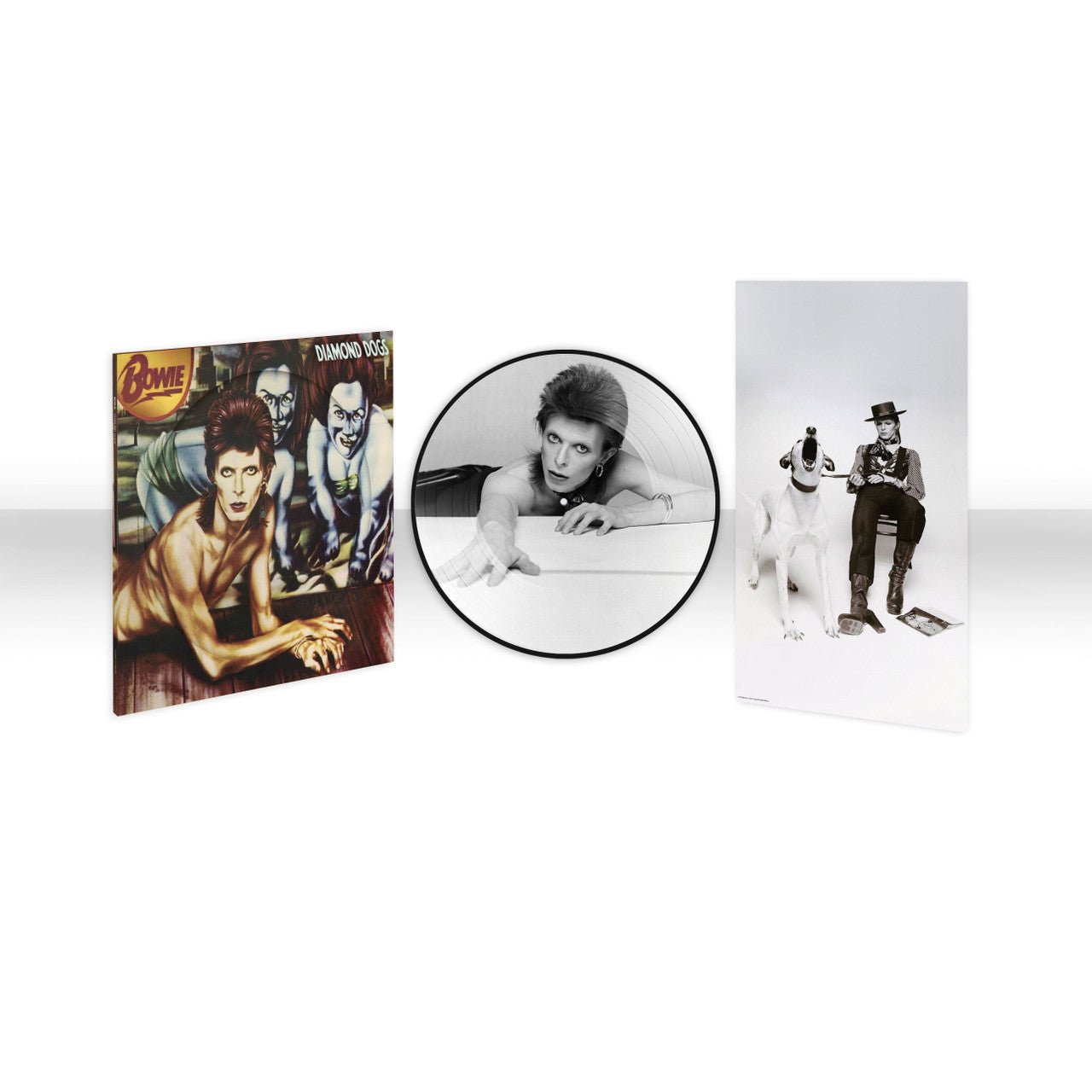 DIAMOND DOGS (50TH ANNIVERSARY PICTURE DISC)