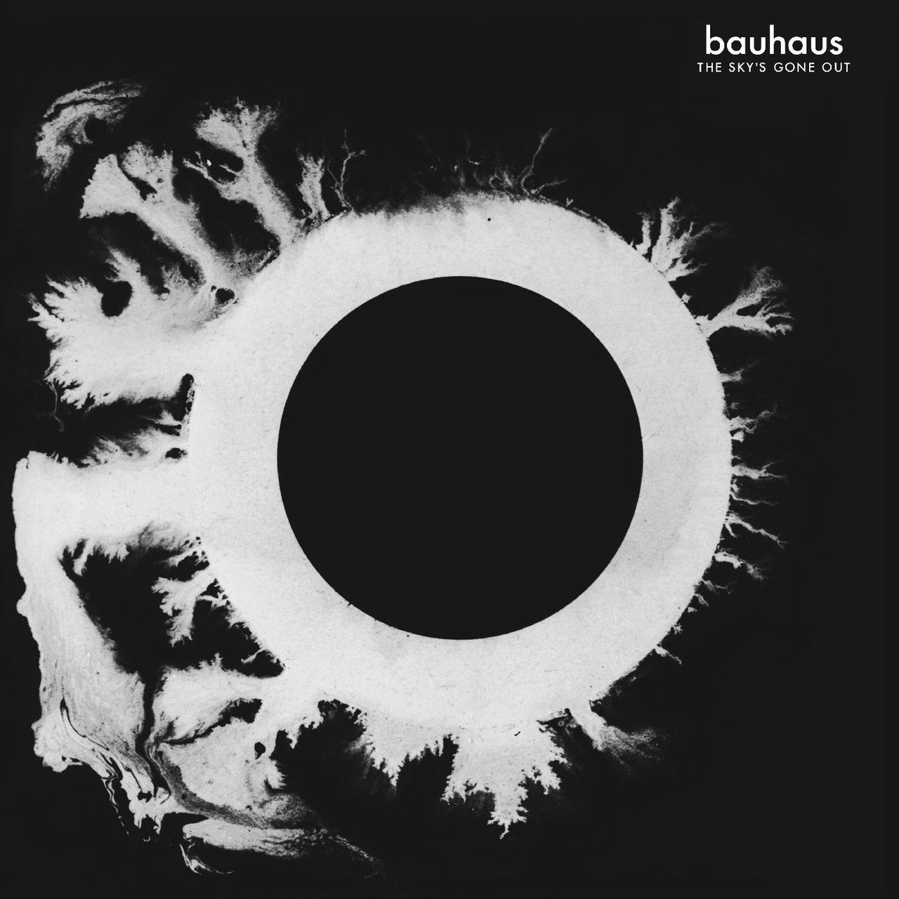 BAUHAUS - SKY'S GONE OUT Vinyl LP