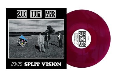 29:29 SPLIT VISION