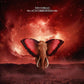 MORELLO,TOM - ATLAS UNDERGROUND FIRE Vinyl LP