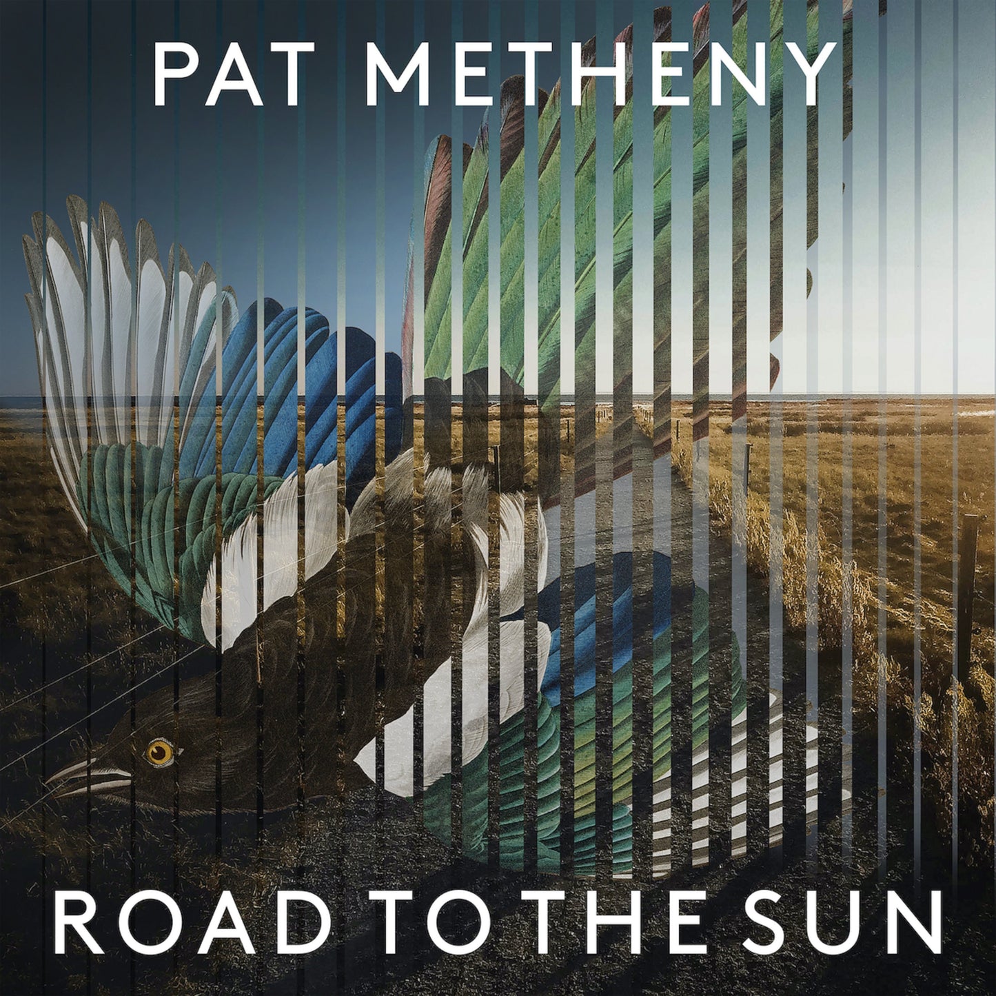 METHENY,PAT - ROAD TO THE SUN Vinyl LP
